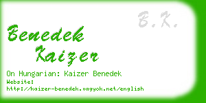benedek kaizer business card